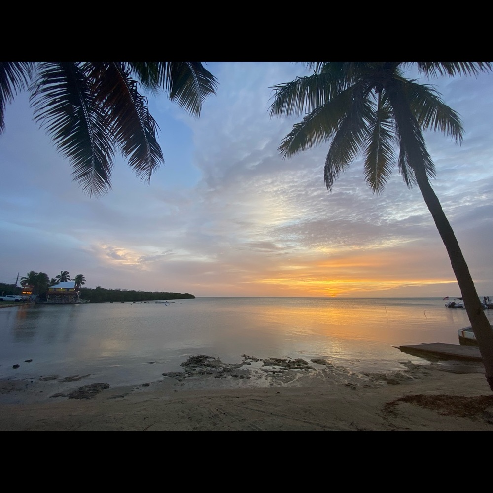 Meet your Posher, Meagan